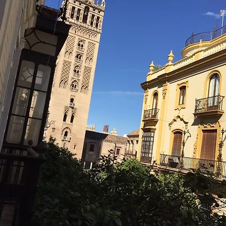 Plaza Nueva Apartament *